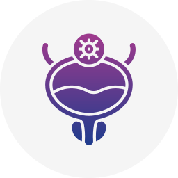 Bladder Cancer Treatment Icon – Advanced Bladder Cancer Care at Krishna Cancer Hospital Bhopal