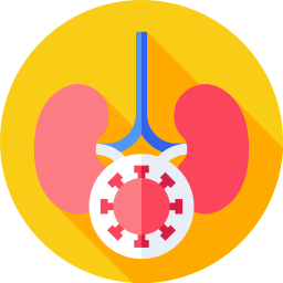 Kidney Cancer Treatment Icon – Advanced Kidney Oncology Care at Krishna Cancer Hospital Bhopal
