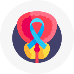 Prostate Cancer Treatment Icon – Advanced Prostate Oncology Care at Krishna Cancer Hospital Bhopal